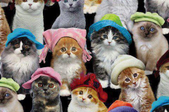 600948_548239991876268_511899223_n